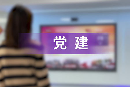 党建应用实例